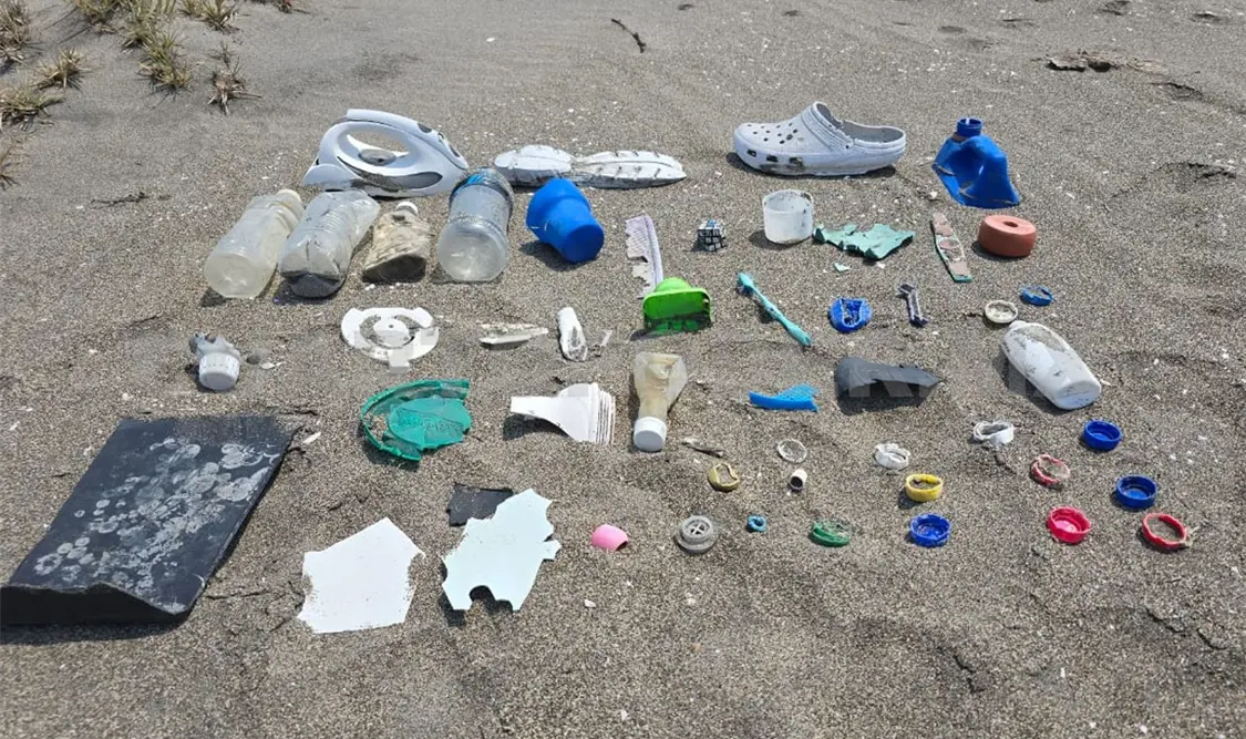 Debido al arrastre de aguas estos cuerpos llegan hasta el mar. Cortesía