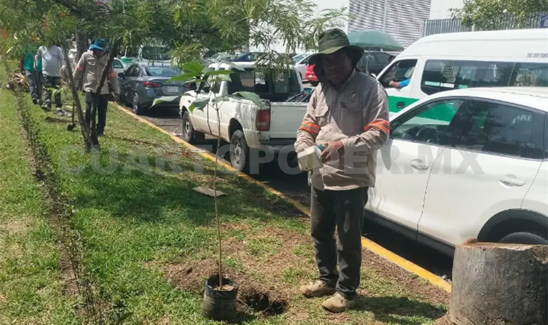 Buscan promover la sustentabilidad, recuperando los espacios verdes. Cortesía