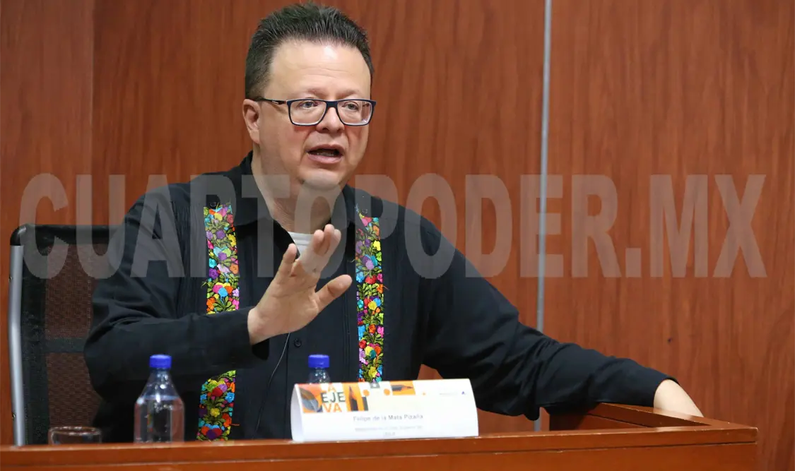 Perfilan validez deelección del Tribunal de Disciplina