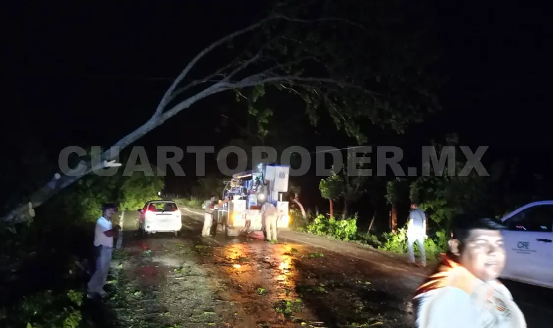 La tromba derribo árboles que bloquearon la carretera Reforma-Juárez a la altura de la comunidad Santa Cruz. Ramiro López / CP