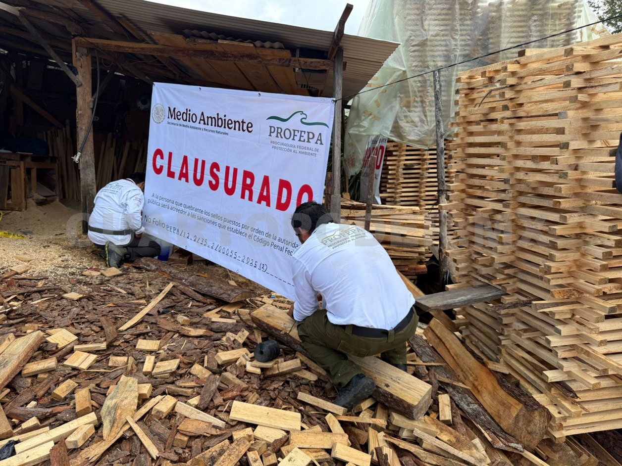 Clausuran centros de almacenamiento forestal en Jitotol
