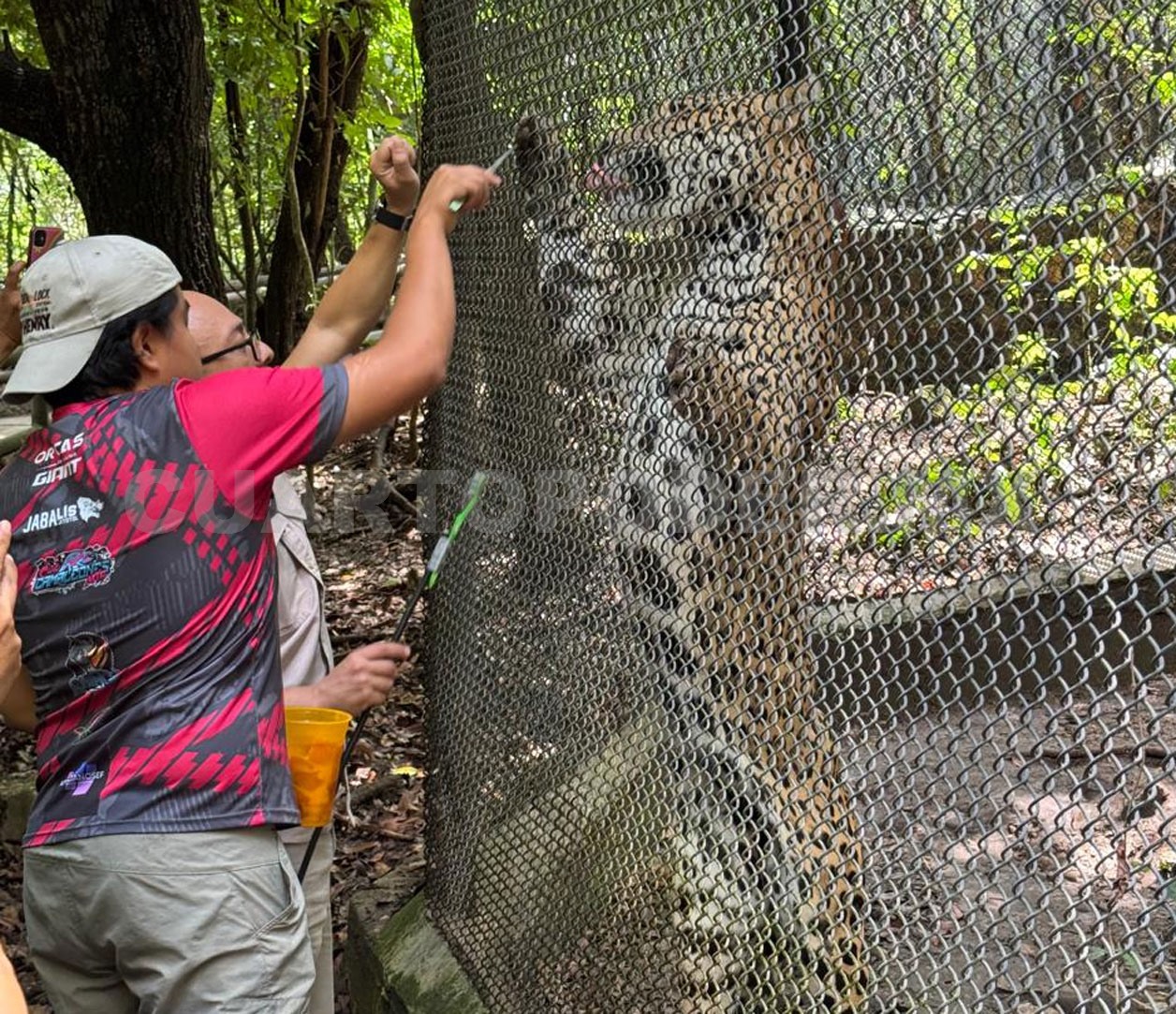 El ZooMAT cambia; podrás tocar y alimentar animales