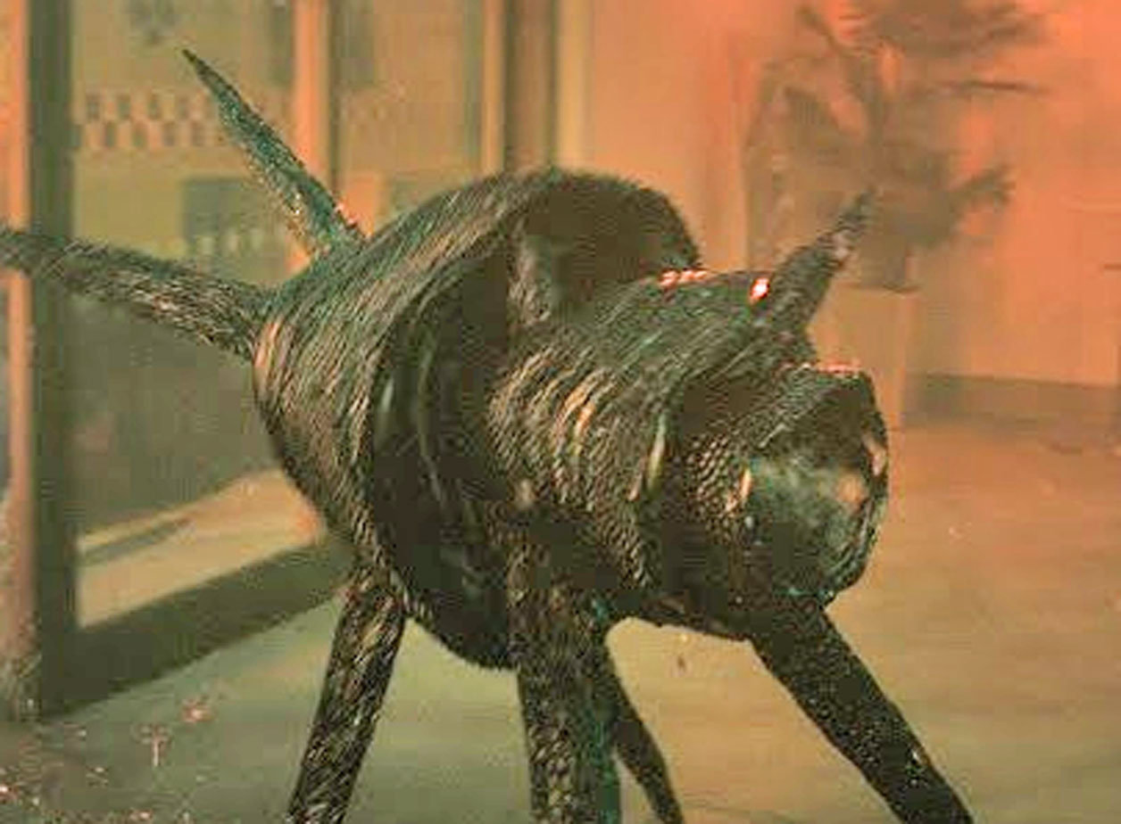 Aliens invaden la Tierra para enseñar