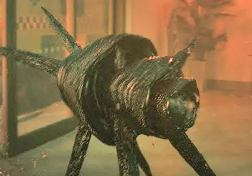 Aliens invaden la Tierra para enseñar