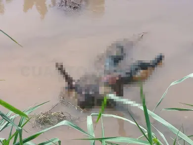 Hallan dos cuerpos en canal en menos de 24 horas