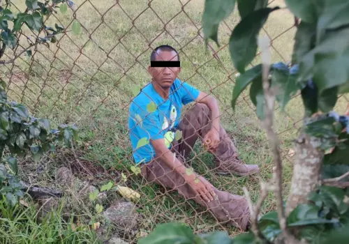 Ladrón roba en vivienda y se lleva pantalla