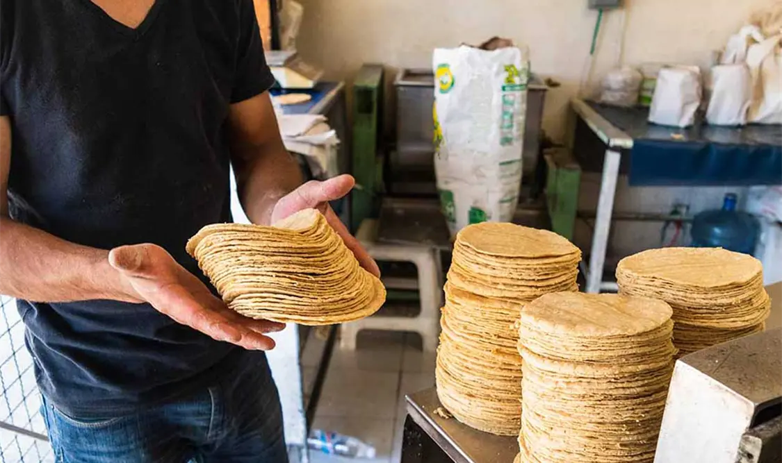 El CNT descartó que los aumentos en los precios de la tortilla tengan únicamente relación con el costo del maíz. Cortesía