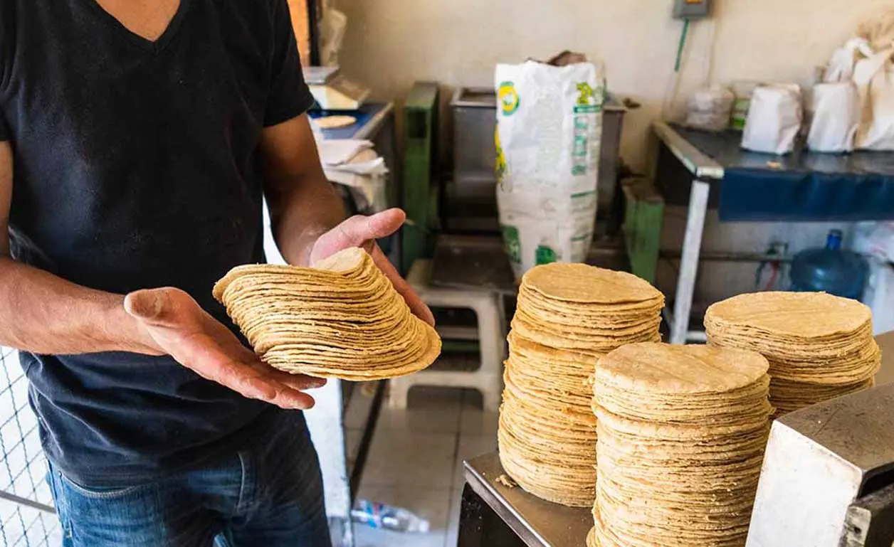 El CNT descartó que los aumentos en los precios de la tortilla tengan únicamente relación con el costo del maíz. Cortesía 