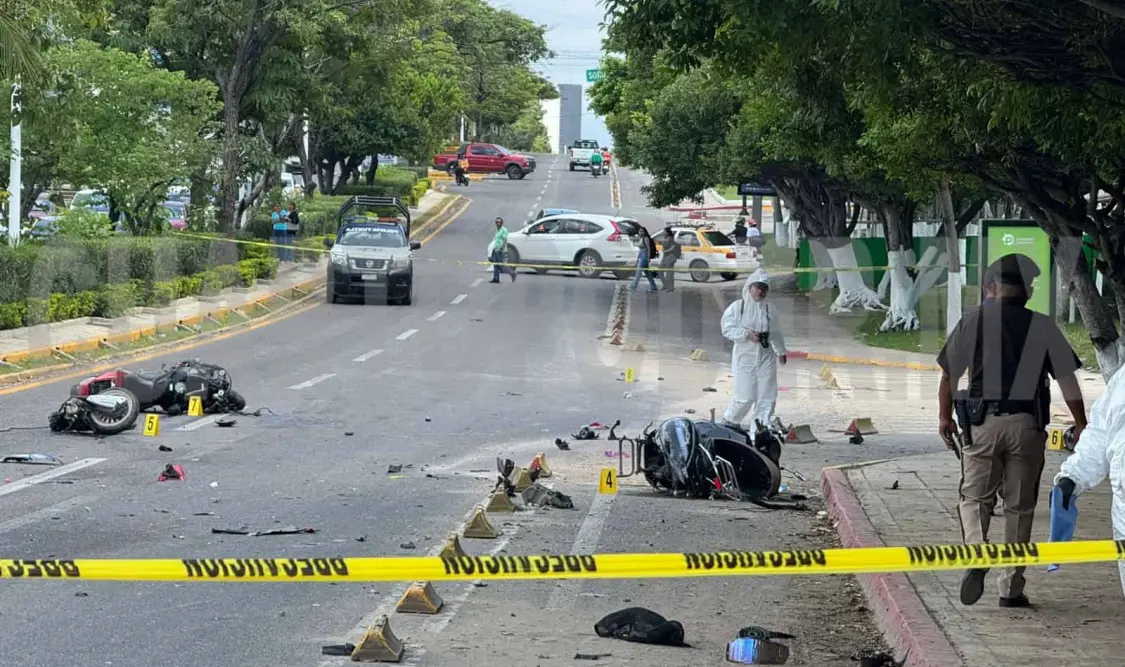 Muere entre las jardineras tras ser embestida
