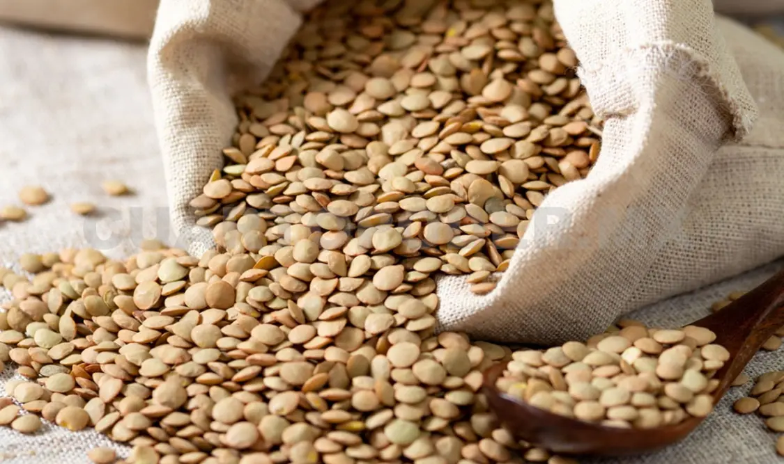 Lo que no sabías de las lentejas