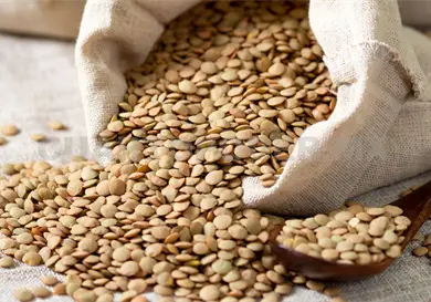 Lo que no sabías de las lentejas Lo que no sabías de las lentejas