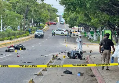Muere entre las jardineras tras ser embestida