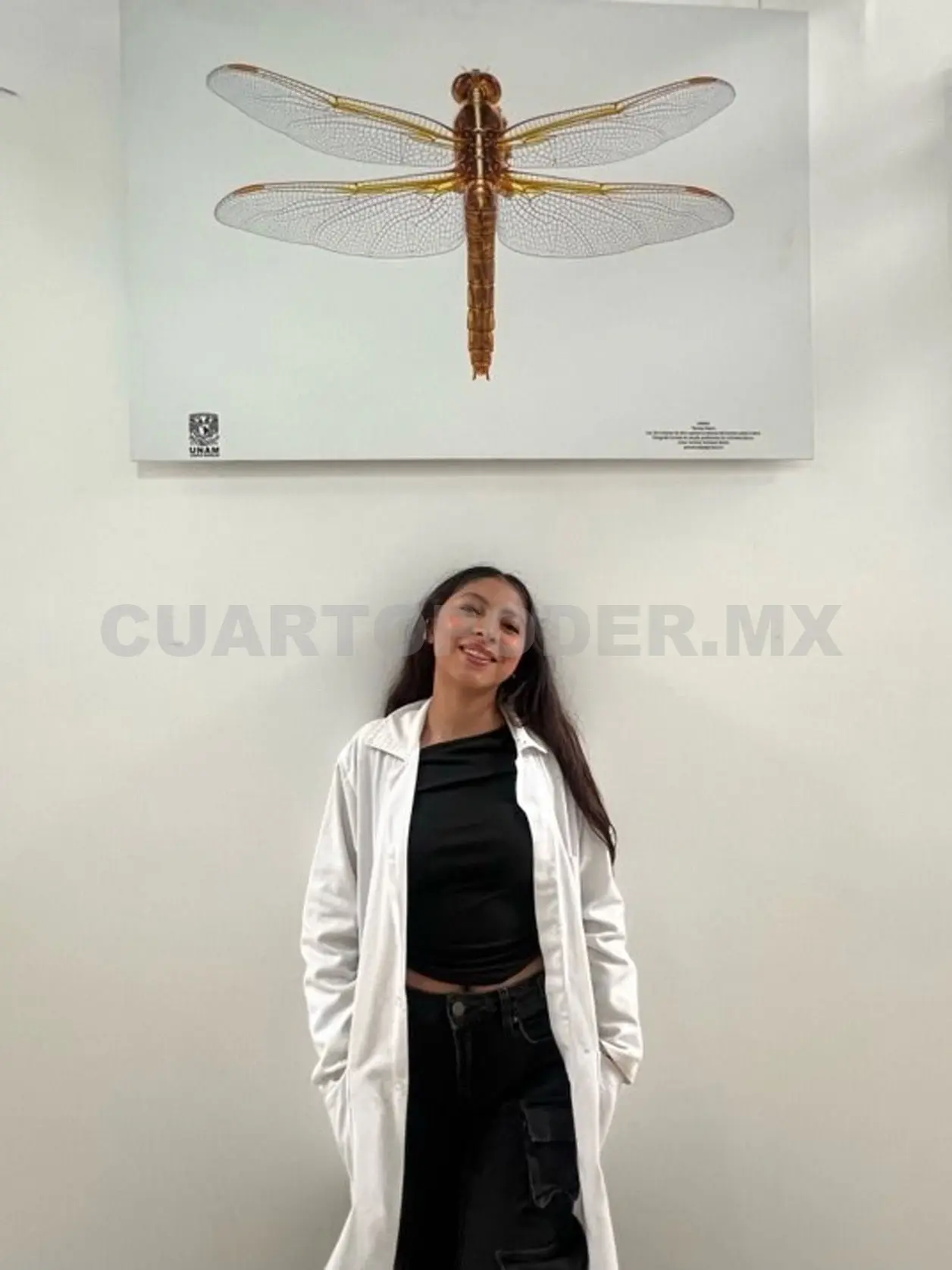 La investigadora dijo que seguirá perfeccionando su proyecto para lograr mayor impacto. Cortesía 