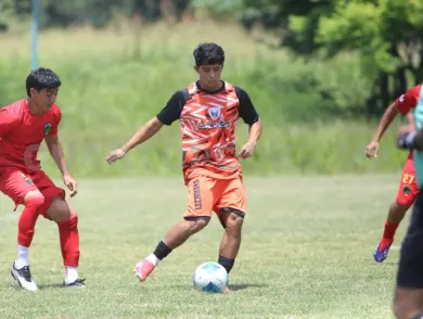 Lechuzas va por Chiapas