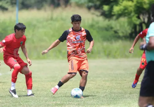 Lechuzas va por Chiapas