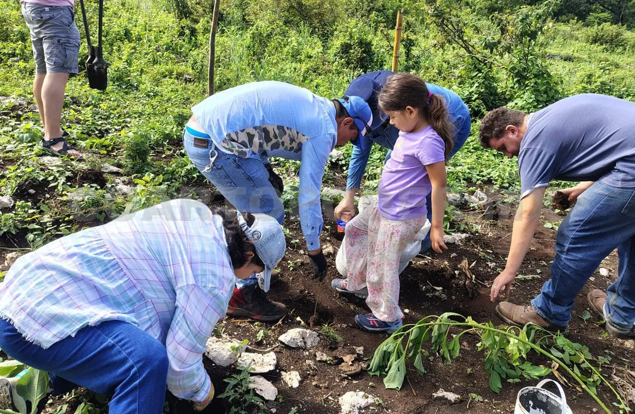 Los ciudadanos sumaron 240 arbolitos sembrados. CP
