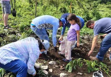 Ciudadanos reforestan predio con árboles endémicos