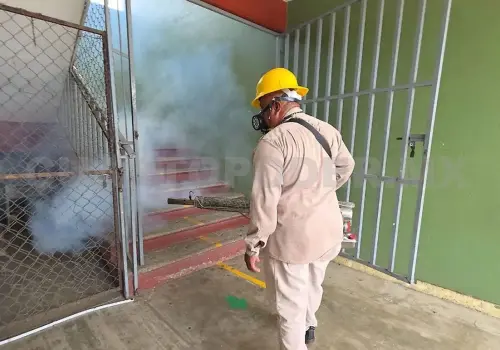 Fumigan centros escolares contra el dengue