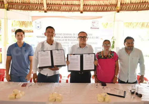 Realizarán Estudio Técnico para la I.G. del quesillo