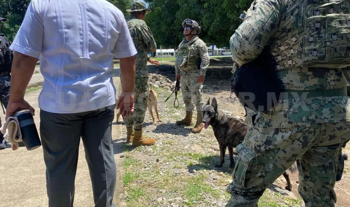 Con ayuda de binomios caninos investigaron en toda la zona, sin encontrar ningún artefacto explosivo. Víctor Sánchez / CP