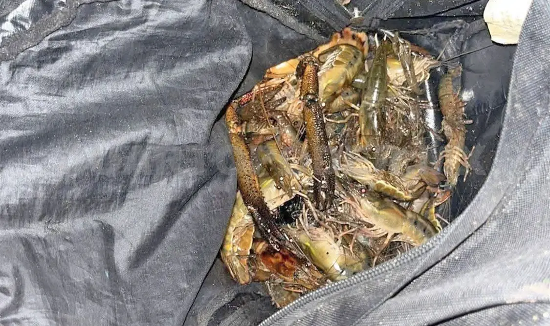 Este hecho provocó la mortandad de langostinos y puso en riesgo la salud de la población. Jesús Cruz / CP