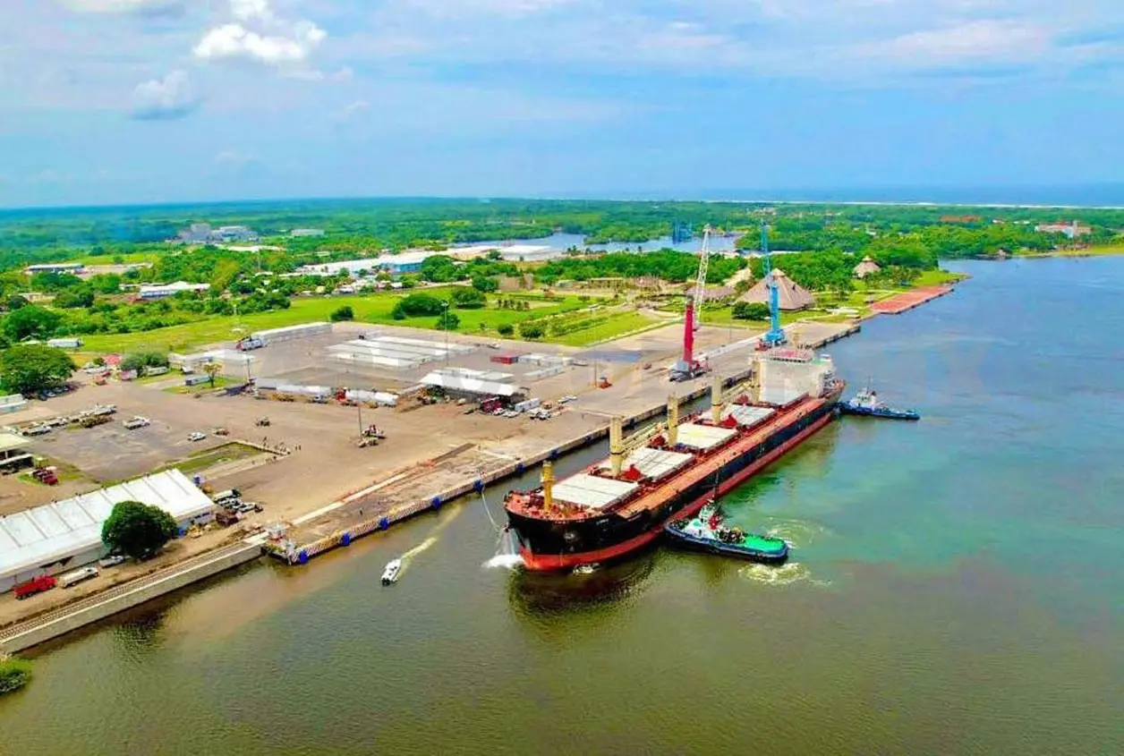 Se analiza la posibilidad de que el ganado llegue a Puerto Chiapas, donde existe un mejor control contra el GBG. Rafael Victorio / CP