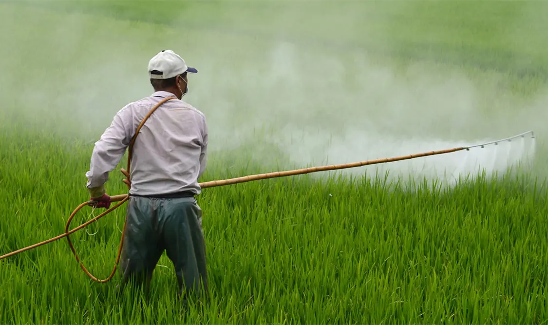 El fin de esta restricción de uso, busca ofrecer la práctica de la agricultura más segura. Cortesía
