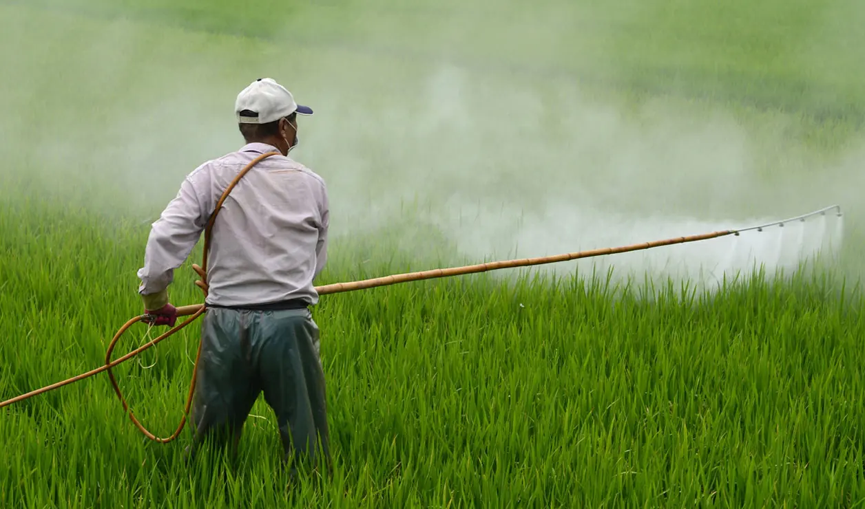 El fin de esta restricción de uso, busca ofrecer la práctica de la agricultura más segura. Cortesía 