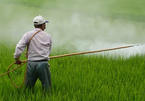 Prohíben 35 plaguicidas peligrosos para la salud