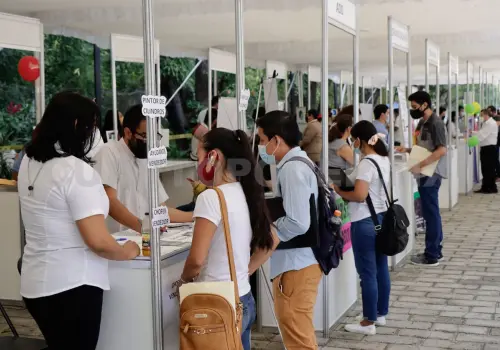 Empleos aumentan, pero sueldos disminuyen