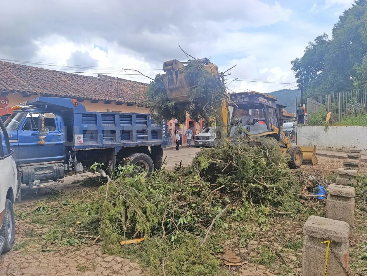 Se reportaron 25 árboles derribados, algunos en casas particulares, lo que ocasionó daños a dos vehículos. Elio Henríquez / CP