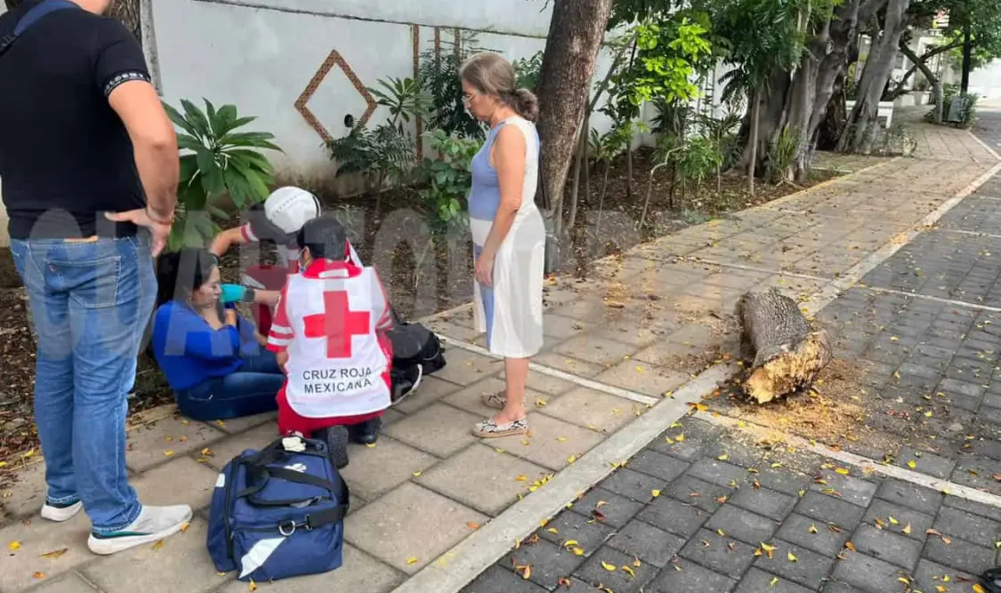 Se desprende rama de árbol y le cae en la cabeza