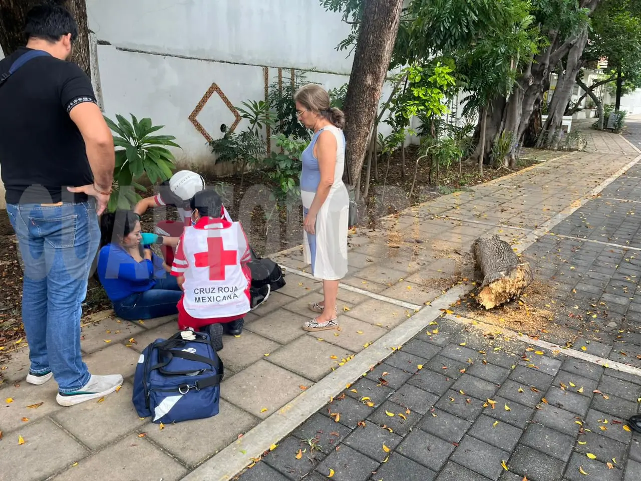 Se desprende rama de árbol y le cae en la cabeza
