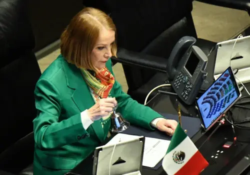 Itzel Castillo busca elevar el nivel del debate en el Senado