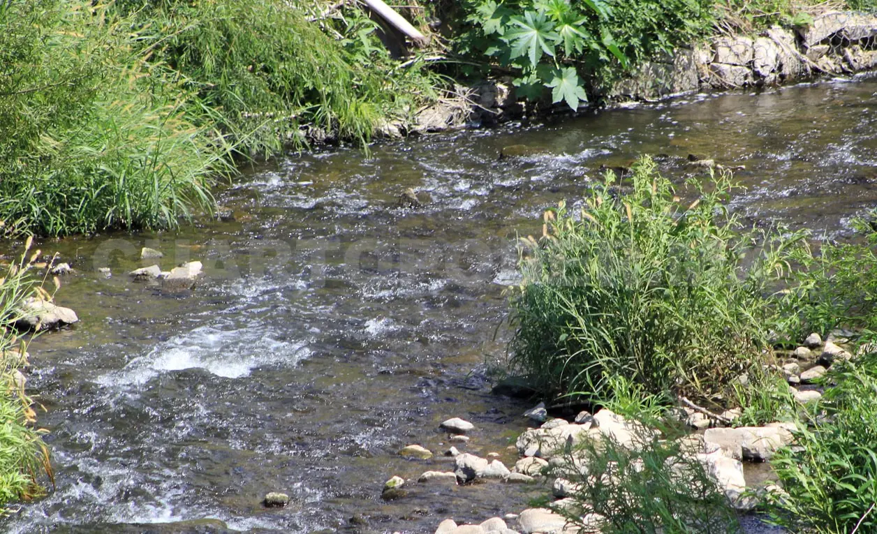 Buscan reducir los riesgos por causas naturales. Diego Pérez / CP 