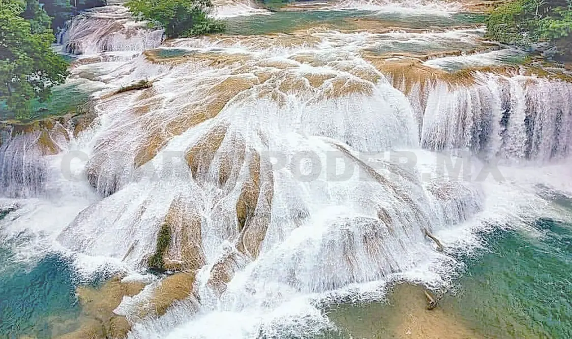 En esta región habita el 33 % de las aves de todo el país. Diego Pérez / CP