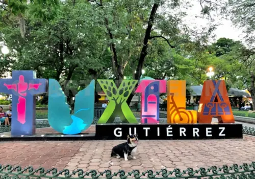 Fortalecen el turismo de convenciones en la capital