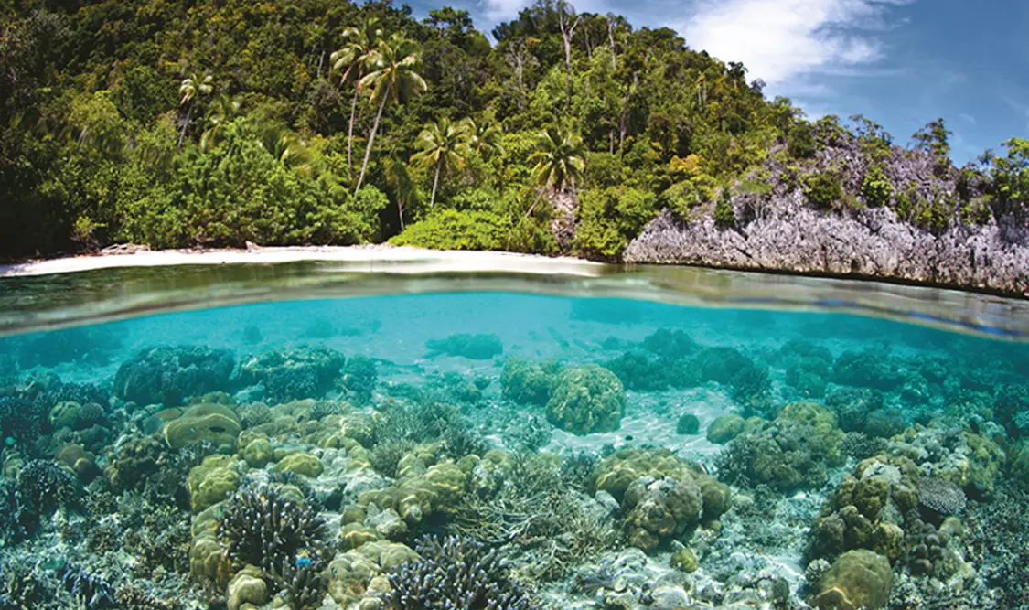 Buscan conservar los diversos ecosistemas, por medio de iniciativas. Cortesía