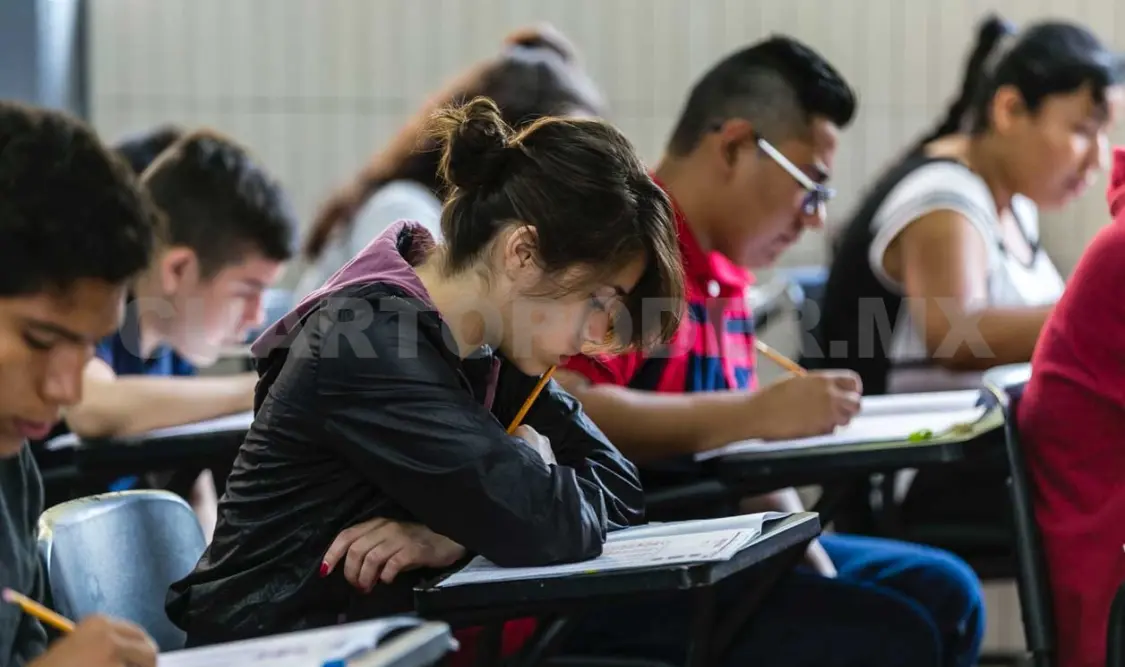 Buscan generar una cultura de protección y respeto en escuelas y comunidades. Diego Pérez / CP