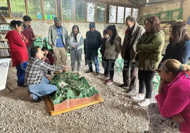 Promueve Ecosur la conservación y desinfección del agua