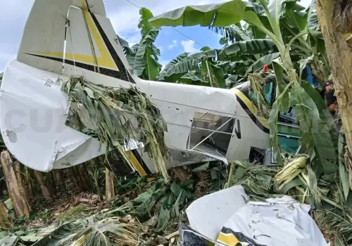 Se desploma avioneta mientras fumigaba