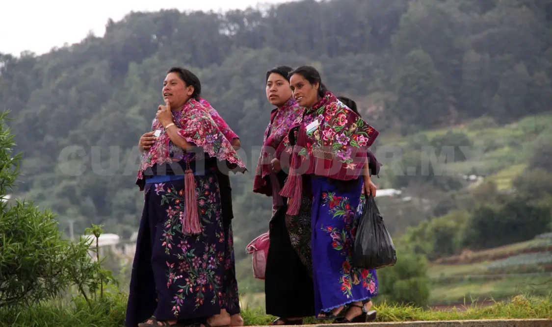 Chiapas transita hacia un buen rumbo con proyectos como el de alfabetización estatal. CP 