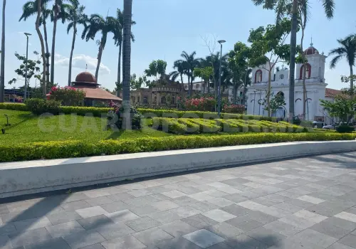 Reconocen autorizar venta de alcohol