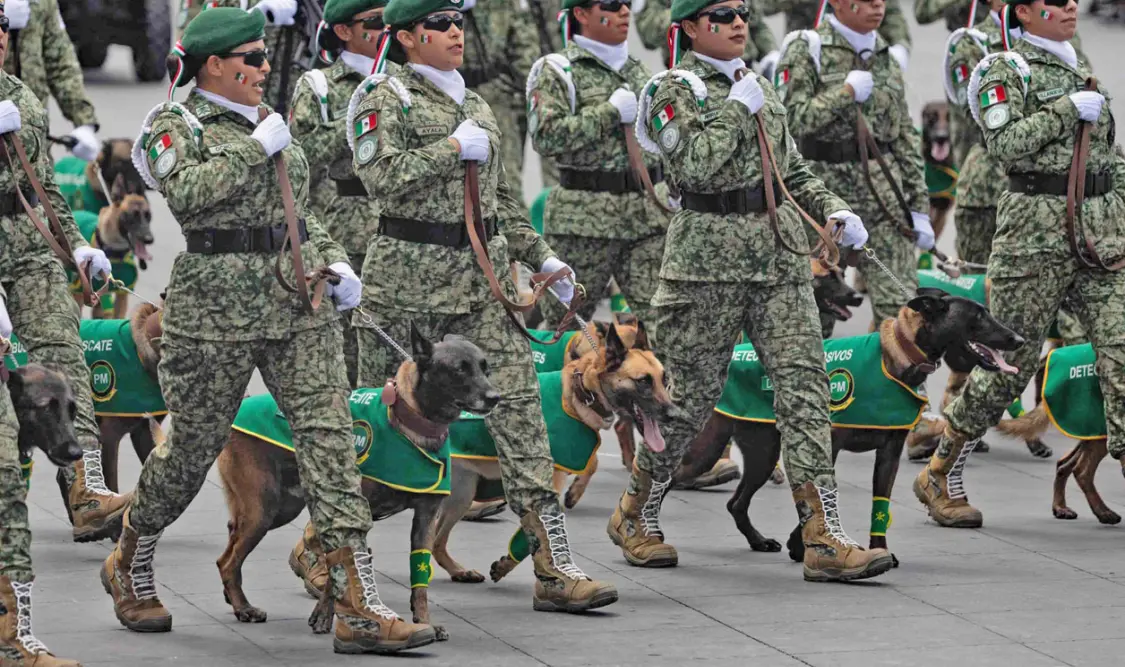 Niñas y jóvenes protagonizan Desfile Militar de CSP