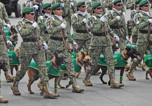 Niñas y jóvenes protagonizan Desfile Militar de CSP
