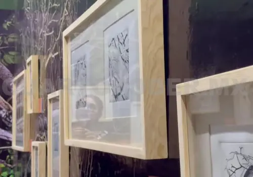 Presentarán exposición "Antes que llegue la primavera"