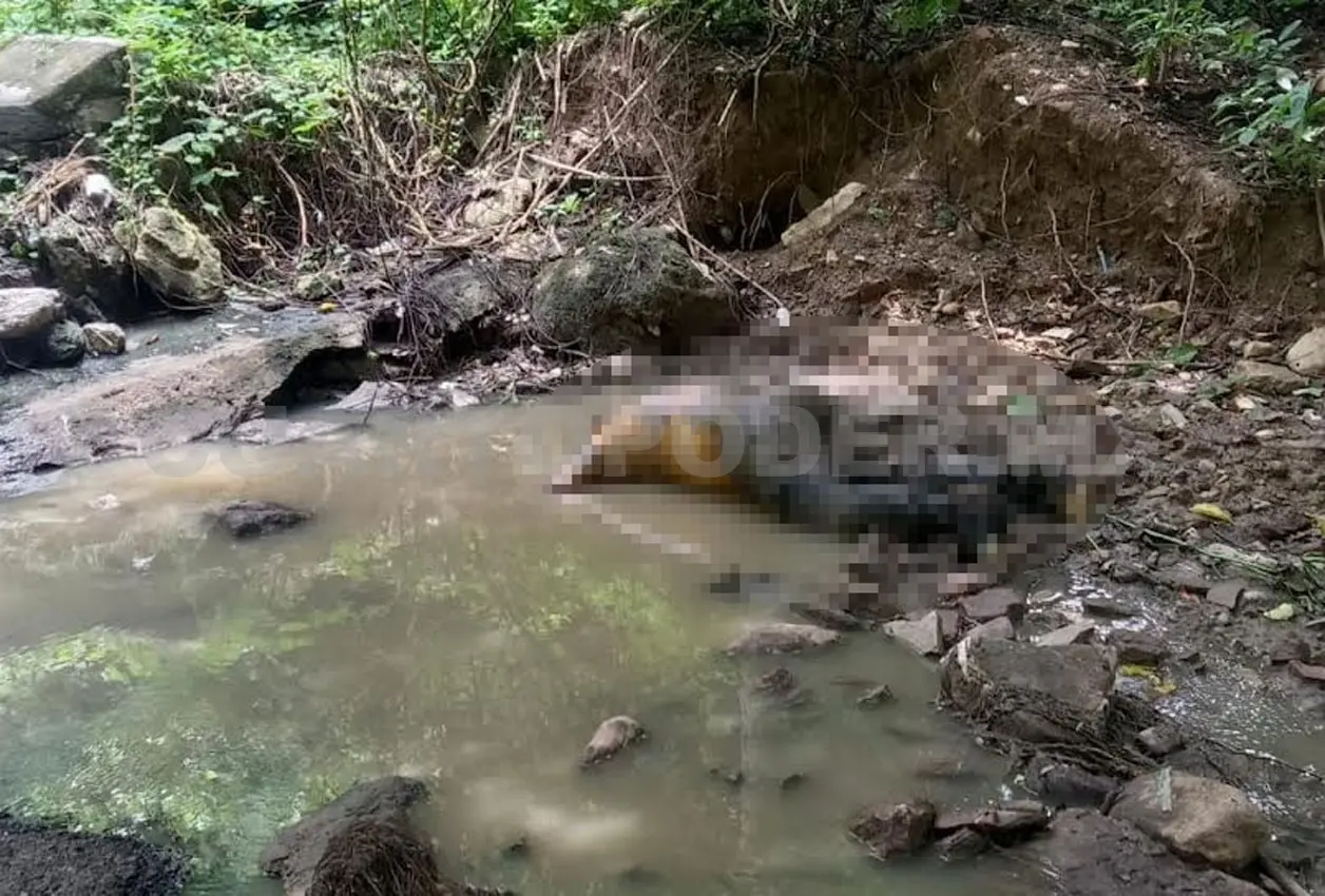 Hallan cadáver putrefacto en el barrio San Miguel