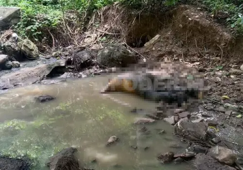 Hallan cadáver putrefacto en el barrio San Miguel