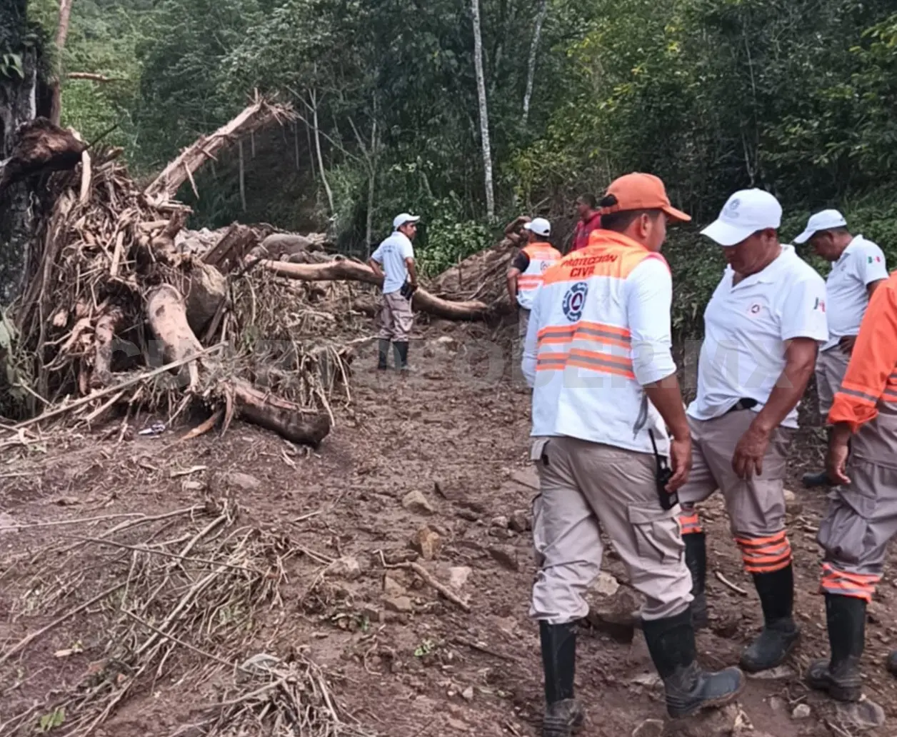 Lluvias dejan cuantiosos daños en la Sierra