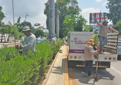 Realizan campaña de reforestación